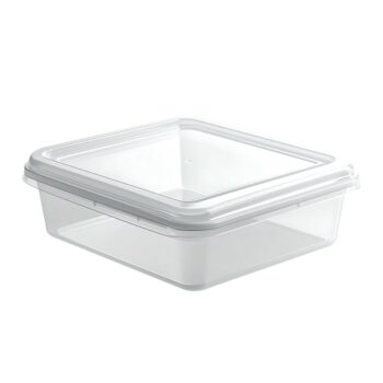 Container